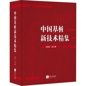 中国基桩新技术精集