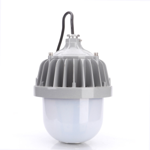 熠飞(EEEFEI) 工作灯 防眩平台泛光灯 EF8103 30W