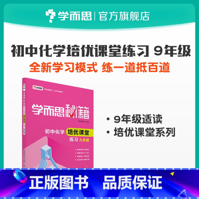 [正版]秘籍 初中化学 课堂练习九年级 中考化学典型例题详解 知识点全面复习
