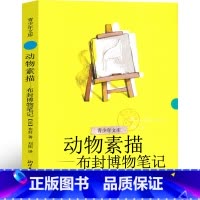 动物素描-五年级必读 [正版]动物素描 五年级必读 布封 博物笔记 小学生阅读 小学生课外书老师阅读书籍必读儿童文学课
