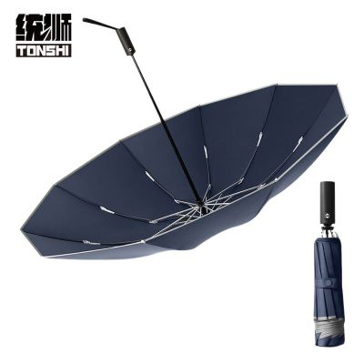 统狮自动晴雨两用 10骨伞H87