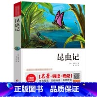 昆虫记(讲解版) [正版]朝花夕拾西游记 鲁迅原著全集 人民教育出版社初中生七年级上册语文名著必阅读课外书籍 中国现代