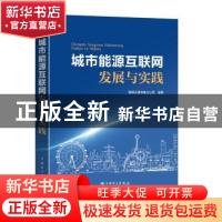 正版 城市能源互联网发展与实践 国网天津市电力公司组编 中国电