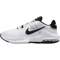 NIKE耐克篮球鞋舒适耐磨低帮男鞋运动鞋DM1124-103 D