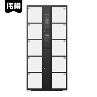 伟樽智能储物柜人脸识别10门850*460*1800mm台