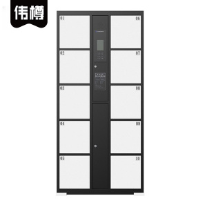 伟樽智能储物柜人脸识别10门850*460*1800mm台
