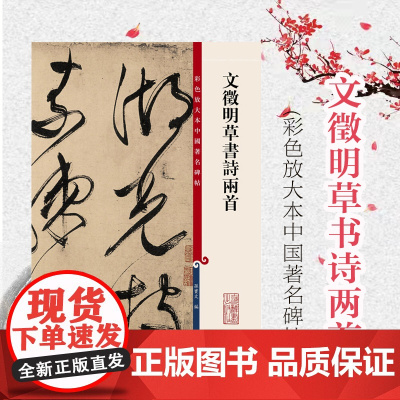 文徵明草书诗两首 孙宝文 彩色放大本中国著名碑帖 书法碑帖 毛笔字帖教材 观历代碑帖 篆刻 正版图书籍 上海辞书出版社