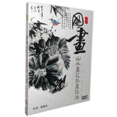 祖绍先主讲美术绘画教材国画入门山水画花鸟画技法教学dvd碟光盘