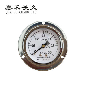 嘉禾长久 轴向带边压力表检测型 Y60ZT 块