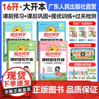 [广东专版]2025春阳光同学课时优化作业本同步练习一二三四年级五年级六年级上下册小学生语文数学英语科学人教版北师版广州