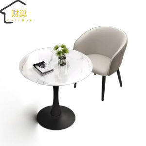 财巢 休闲洽谈桌椅 一桌一椅 /套