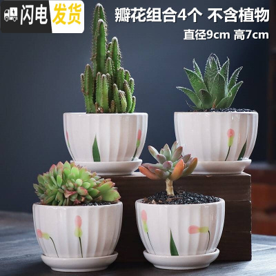 三维工匠多肉花盆陶瓷大号肉肉植物个性绿萝创意简约大口径小花盆 瓣草组合4个带托盘(亏) 小花盆容器