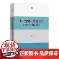 4月新书 现代市场体系建设的竞争法问题研究 孙晋 著 商务印书馆