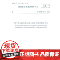 四川省大直径素混凝土桩复合地基技术规程