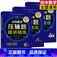 [正版]全套3册 初中数学压轴题精讲精练七八九年级 中考 初中数学必刷题知识大全题库解题技巧专项训练 听名师精讲学练