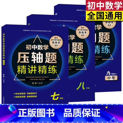 [正版]全套3册 初中数学压轴题精讲精练七八九年级 中考 初中数学必刷题知识大全题库解题技巧专项训练 听名师精讲学练