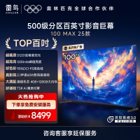 雷鸟 100Max 25款98/100英寸巨幕4K144Hz 4+125G 高刷 智能液晶会议平板电视机 100英寸