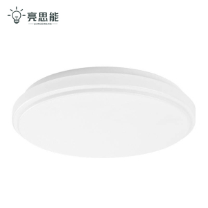 亮思能-LED吸顶灯 LSN-MKTS 30cm 24W/个