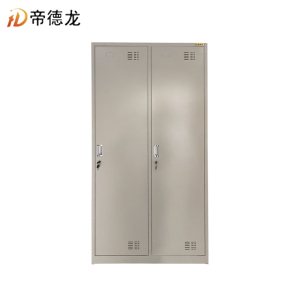 帝德龙 储物柜更衣柜2门 900*500*2000mm/个