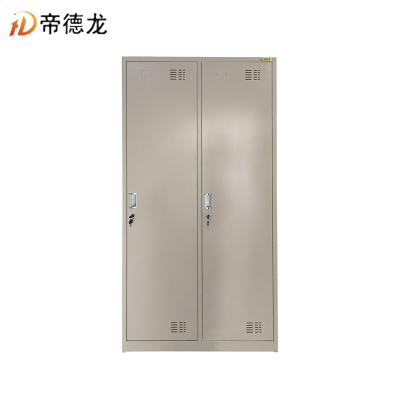 帝德龙 储物柜更衣柜2门 900*500*2000mm/个