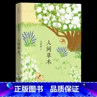 人间草木 [正版]汪曾祺典藏文集新版共5册 在西南联大的日子+故乡与故人+人间草木+五味+受戒 纪念汪曾祺逝世25周年青