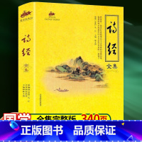 [正版]国学经典:诗经全集 孔丘,陈才俊 海潮出版社