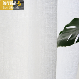 透光不透人窗纱简约现代加厚白色沙客厅隔断阳台遮光窗帘纱白纱帘 三维工匠