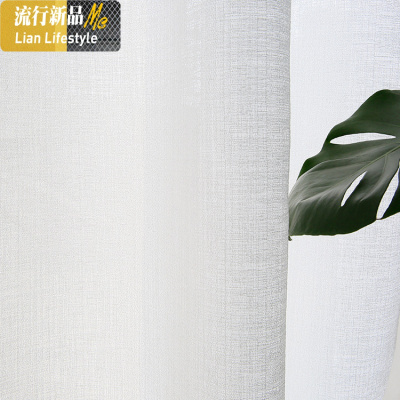 透光不透人窗纱简约现代加厚白色沙客厅隔断阳台遮光窗帘纱白纱帘 三维工匠