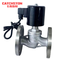 卡西斯顿 蒸汽电磁阀 常开型DN20 个