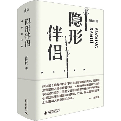 张抗抗文集 隐形伴侣
