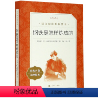 钢铁是怎样炼成的 [正版]钢铁是怎样炼成的(经典名著口碑版本)/语文阅读丛书