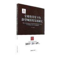 音像全球化背景下的新型城镇化发展研究武岩