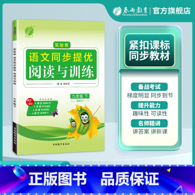语文 九年级下 [正版]2025年春 初中语文实验班同步提优阅读与训练九年级语文下册人教版 9年级下册RJ版阅读理解写作