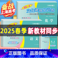 语数英物化 试卷+答案[共10本] 2024年 高考二模卷 [正版]2025上海高考一模卷英语领先一步文化课强化训练语文