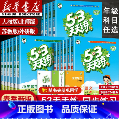 [单本]数学北师版 五年级下 [正版]2024新版53天天练一年级二年级四年级五六三年级上册下册语文数学英语全套同步训练