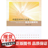 中国农村中小企业融资问题研究