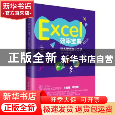 正版 Excel效率宝典:财务管理高手之路 王彬,吴荣发著 清华大学