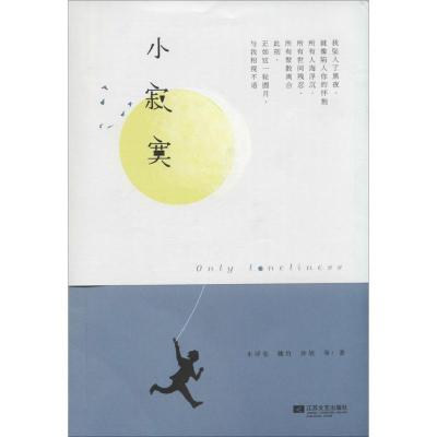 正版新书]小寂寞木浮生9787539966953