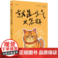 就是生气又怎样 弗里德里克?冯?阿德卡斯 心理励志 心灵疗愈 用愤怒重塑人生活出真实的自己