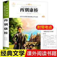 音像再别康桥徐志摩
