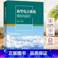 新型电力系统规划与运行 [正版]新型电力系统规划与运行 刘泽洪等 工业技术书籍 9787519888718 中国电力出版
