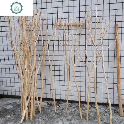 天然实木带杈造型干树枝白树枝花瓶干花客厅玄关橱窗摆件装饰树枝封后粗4-5cm高1.8-2m干树枝
