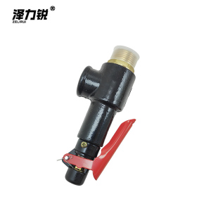 泽力锐 安全阀 A28X-16T DN10 0.7-1.0MPa 个
