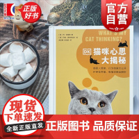 DK猫咪心思大揭秘 乔刘易斯上海文化出版社宠物生活喵星人铲屎官日常