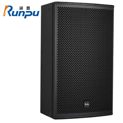 润普Runpu会议音频扩声系统专业双12英寸会议音箱无源音响礼堂会议室扩声音响设备RP-SY-LF1235