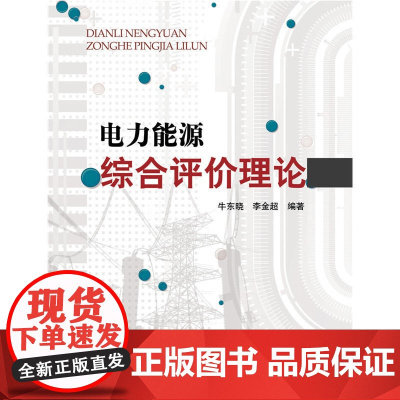 电力能源综合评价理论