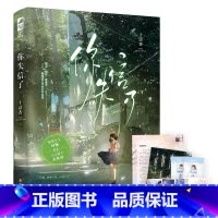 [正版] 你失信了 书籍