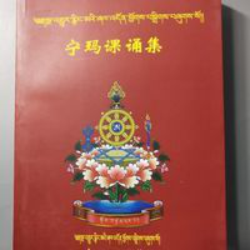 宁玛课诵集 藏文中文 八吉祥颂 怀业祈祷文 二十一度母赞32k410页