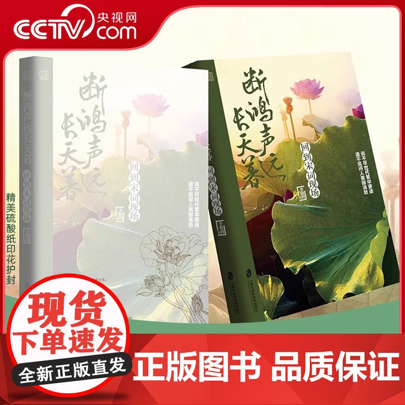 [央视网]断鸿声远长天暮:回到宋词现场 李晓润著 文学书籍 书排行榜中国历史文化课 经典 中国诗词大会QS