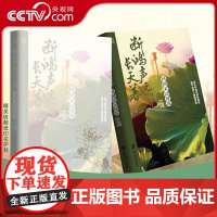 [央视网]断鸿声远长天暮:回到宋词现场 李晓润著 文学书籍 书排行榜中国历史文化课 经典 中国诗词大会QS